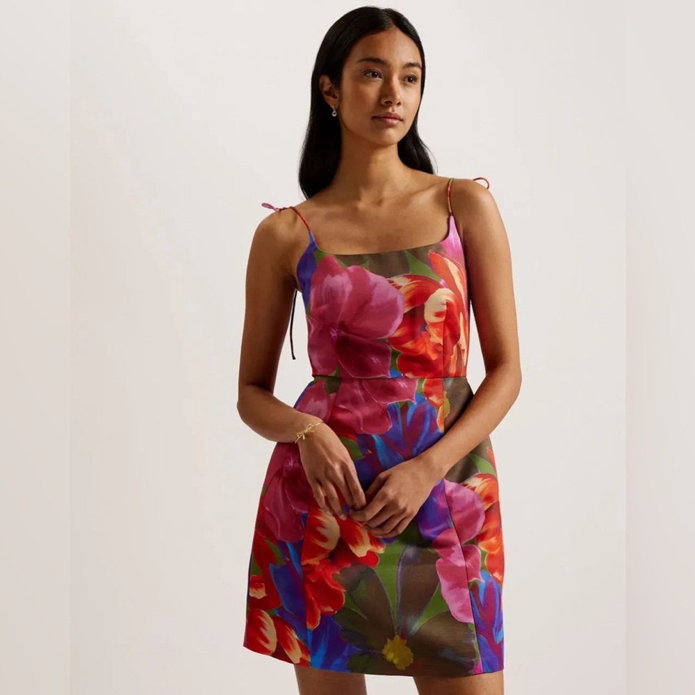Printed fitted bodice mini Ted Baker dress. TB size 2(US6)